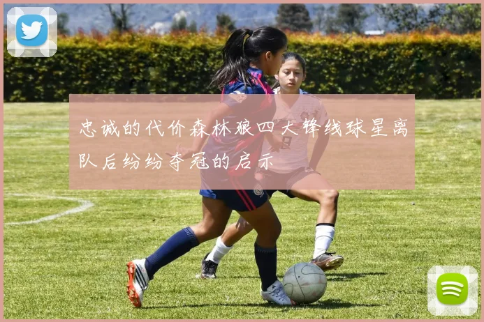 忠诚的代价森林狼四大锋线球星离队后纷纷夺冠的启示